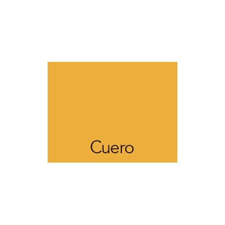 Cartulina 50x60 IRIS Cuero