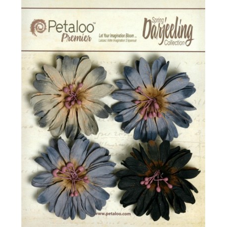 PETALOO. Daisies Grey
