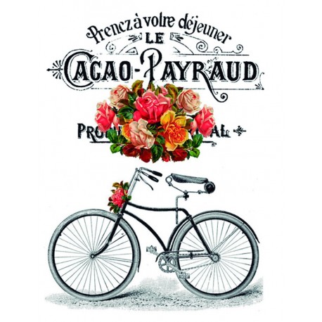 Transfers HOME DECOR Cacao Payraud