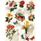 Papel de Arroz FLORES Y MARIPOSAS 1