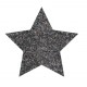 GLITTER POWDER PEN Hologr. Negro
