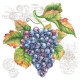 SERVILLETAS- Grape Vine
