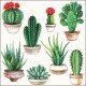 SERVILLETAS- Cactus