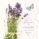 SERVILLETAS- Bunch Of Lavender