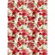 Papel de Arroz POISENTIA