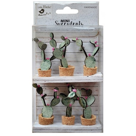 Mini Suculents - BUNNY EAR CACTUS