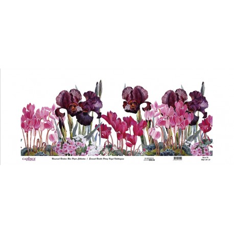 Papel de Arroz ROLLO 90x214cm CADENCE