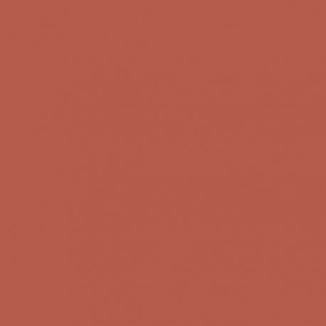 Cartulina A4 IRIS Rojo Coral (50 uds.)