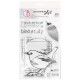 Clear Stamp Set 4"x6" Bird Study