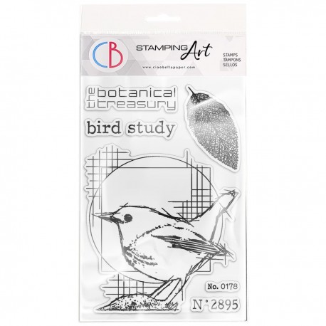 Clear Stamp Set 4"x6" Bird Study