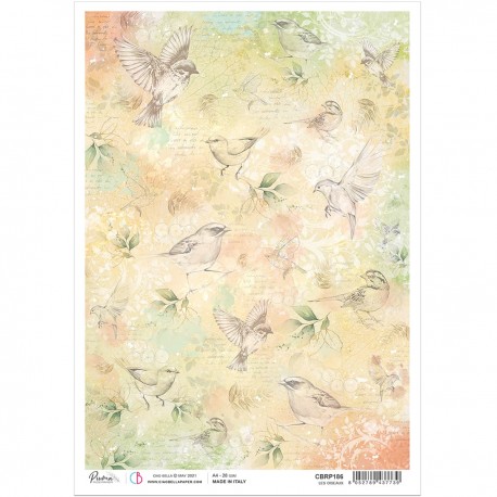 Rice Paper A4 Les oiseaux