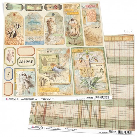 Sign of the Times Tags & Frames Paper Sheet 12"x12