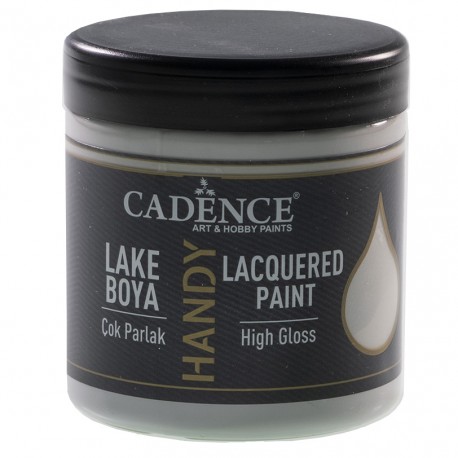 LACQUERED PAINT 250 ml GRAY