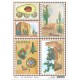 Rice Paper A4 Sonora Postal Stamps