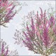 SERVILLETA NAPKIN 33 CALLUNA