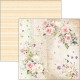 Blooming 12x12 12/Pkg