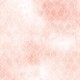 Blooming 12x12 12/Pkg