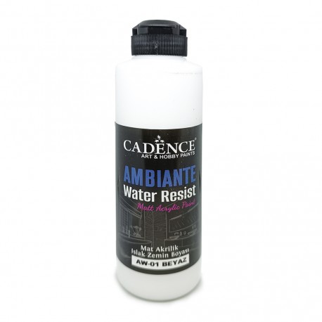 AMBIENTE WATER RESIST WHITE 250ML + CAT.