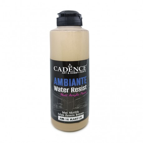 AMBIENTE WATER RESIST CARDBOARD 250ML + CAT.