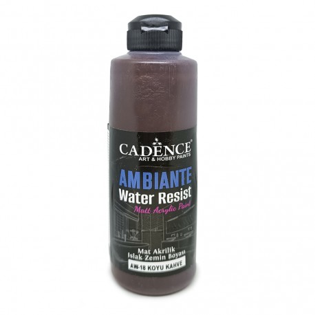 AMBIENTE WATER RESIST DARK BROWN 250ML + CAT.