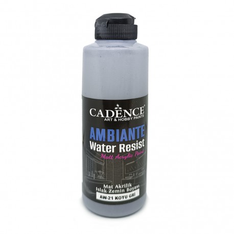 AMBIENTE WATER RESIST DARK GRAY 250ML + CAT.