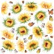 Farmhouse Garden Fussy Cut Pad 6"x6" 24/Pkg