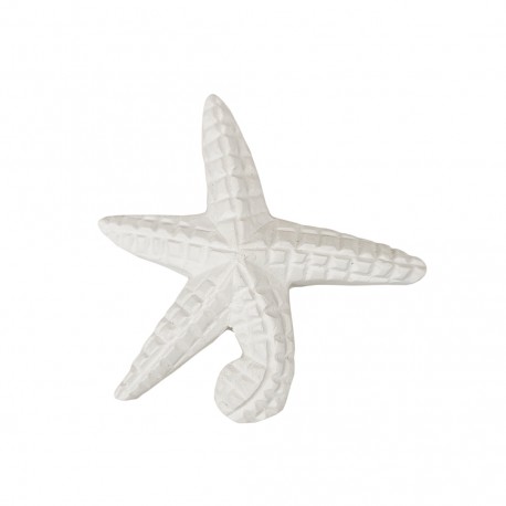 Estrella de mar mediana