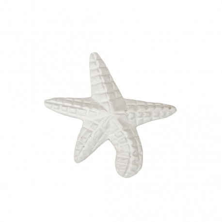 Estrella de mar pequeña