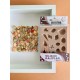 Smarta Silicone Mold - Sea Shells