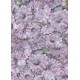 Papel de Arroz Soft A3 YOBANKA ART