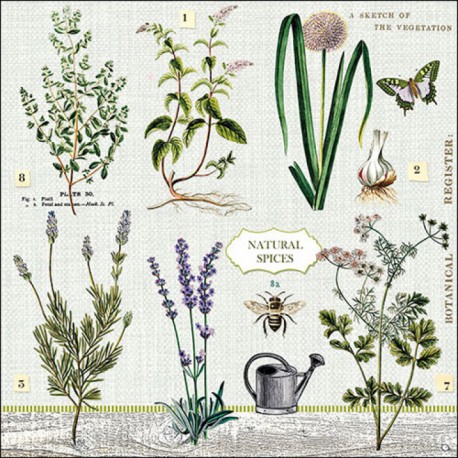 SERVILLETA HERBS GARDEN FSC MIX