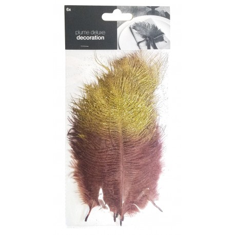 PLUME DELUXE feathers 6 pcs