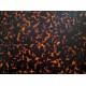 ACETATO CONCHA HABANA 1.5 mm 140x65mm
