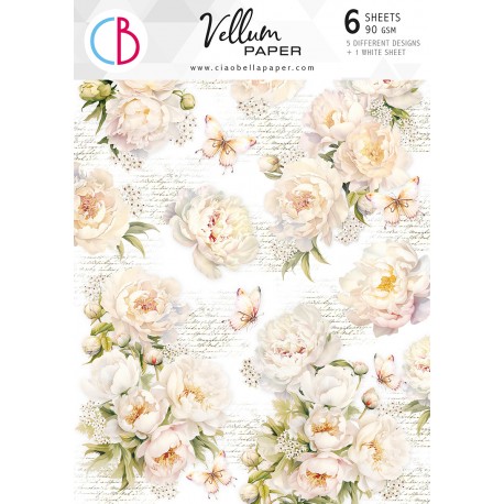 Vellum Always & Forever Paper Patterns A4 6/Pkg