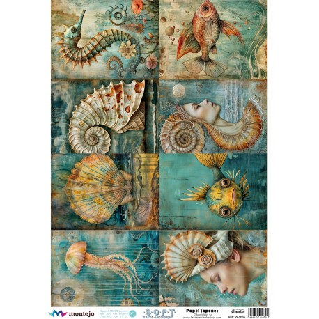 Papel de Arroz Soft A3 30x41cm SPA5685