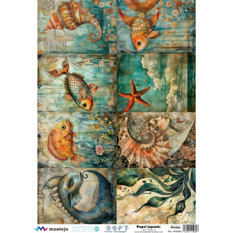 Papel de Arroz Soft A3 30x41cm SPA5686