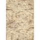 Rice Paper A5 MIXED 8/Pkg Cabinet of Curiosities