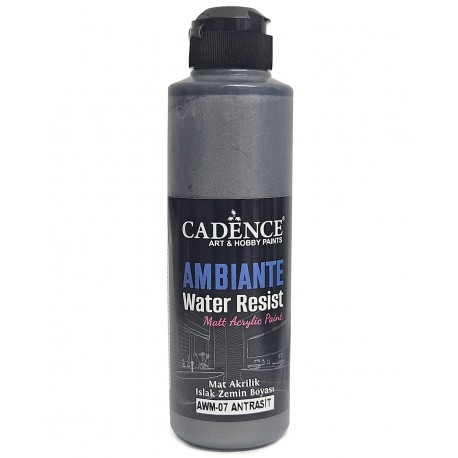 AMBIENTE WATER RESIST METALLIC ANTHRACITE 250 + CA