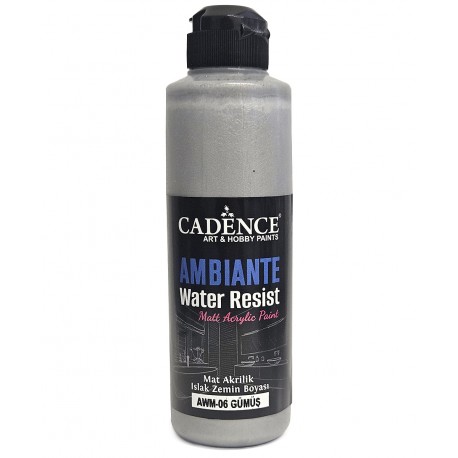 AMBIENTE WATER RESIST METALLIC SILVER 250ML + CAT.