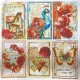 Deluxe Majestic Dream Paper Silver 6"x6" 5/Pkg