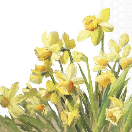 Servilleta GOLDEN DAFFODILS