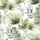 SERVILLETA JUNGLE LEAVES WHITE 20 uds