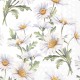 SERVILLETA BEAUTIFUL DAISIES WHITE 20 uds