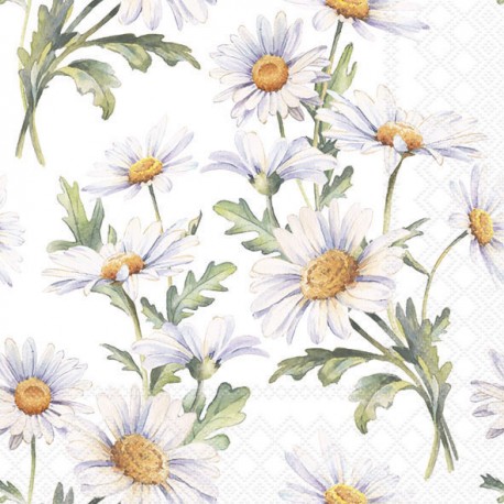 SERVILLETA BEAUTIFUL DAISIES WHITE 20 uds