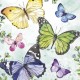 SERVILLETA FLUTTERING BUTTERFLIES AQUA 20 uds