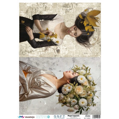 Papel de Arroz Soft A3 30x41cm SPA5834