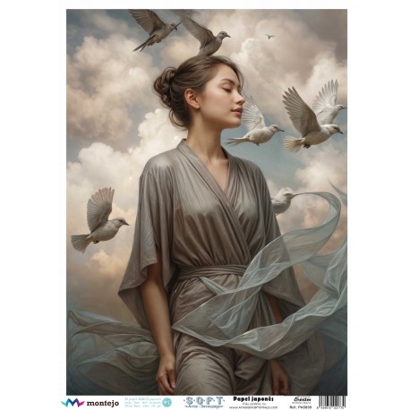 Papel de Arroz Soft A3 30x41cm SPA5839