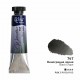 Acuarela 747 Black Grape ROSA GALLERY tubo 10ml
