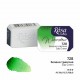 Acuarela 728 Sap Green ROSA GALLERY godet 2,5ml