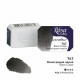 Acuarela 747 Black Grape ROSA GALLERY godet 2,5ml